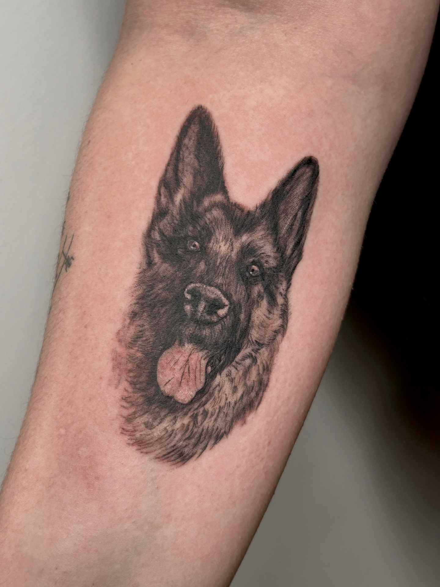 Retrato realista de perro en antebrazo